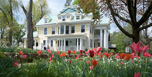 Colorblends House & Spring Garden