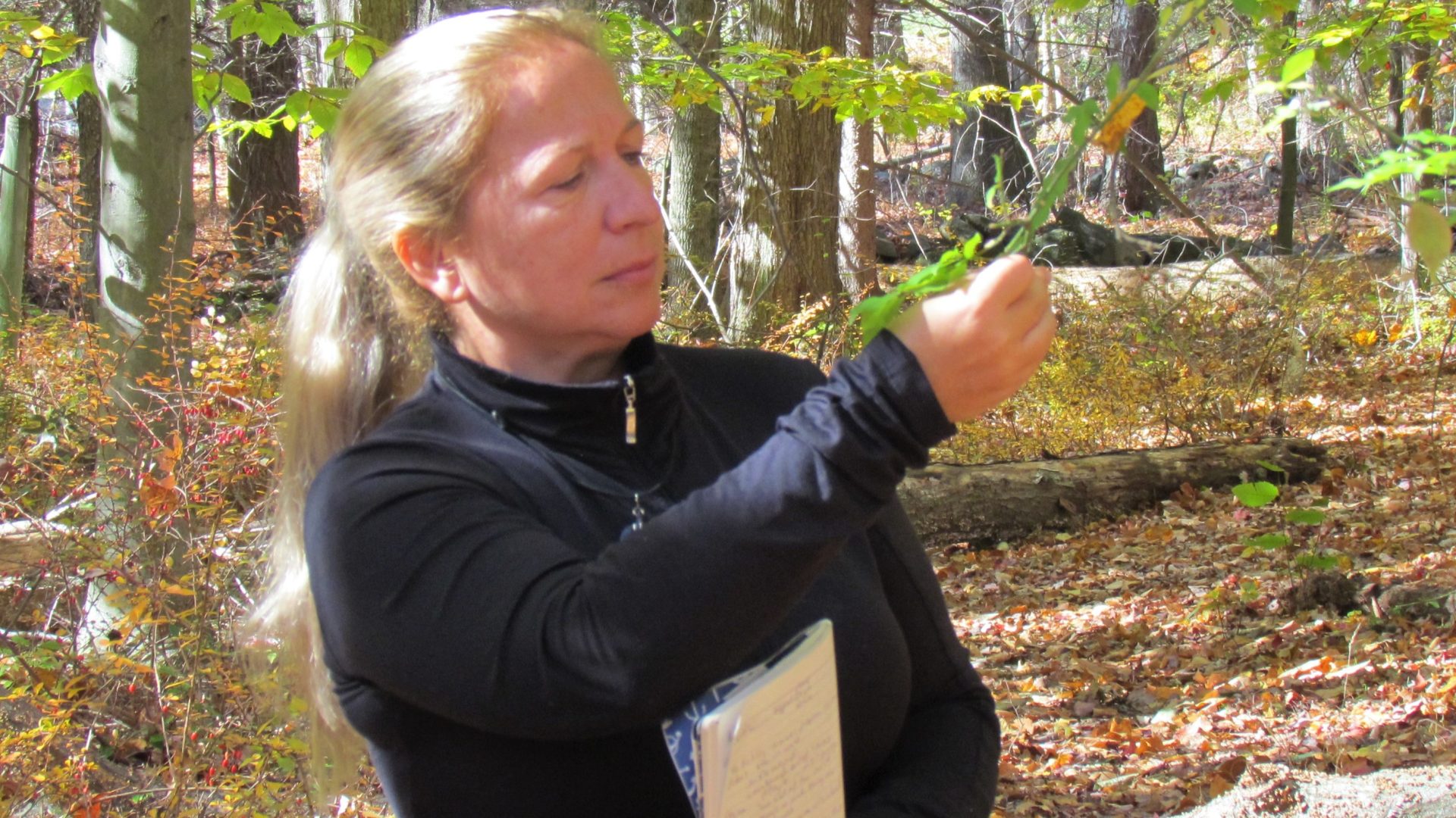 Fall Naturalist Training Program at Connecticut Audubon